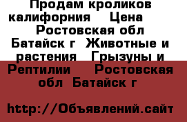 Продам кроликов калифорния  › Цена ­ 180 - Ростовская обл., Батайск г. Животные и растения » Грызуны и Рептилии   . Ростовская обл.,Батайск г.